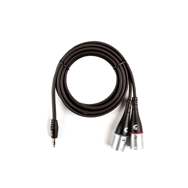 1-8-inch-to-dual-xlr-audio-cables-daddario-adaptador-mini-jack-para-xlr-dual-stereo_63a9ac08e47bb.jpg