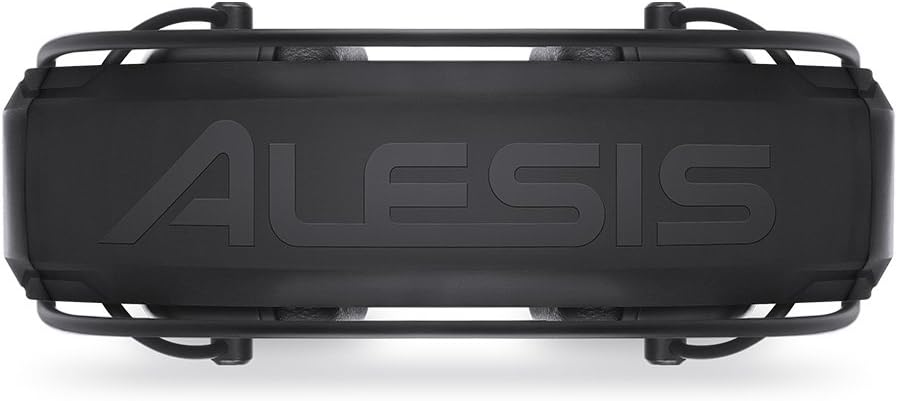 alesis-drp-100_678fc1c97360c.jpg