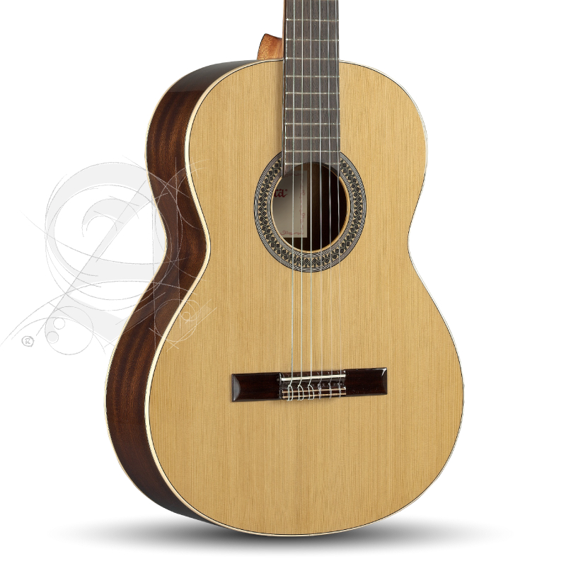 alhambra-2c-inclgig-bag_67c8690c32d06.jpg