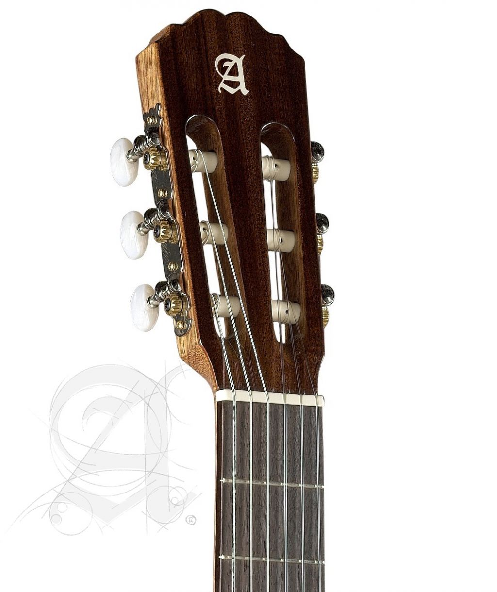 alhambra-2c-inclgig-bag_67c8690e3aa07.jpg