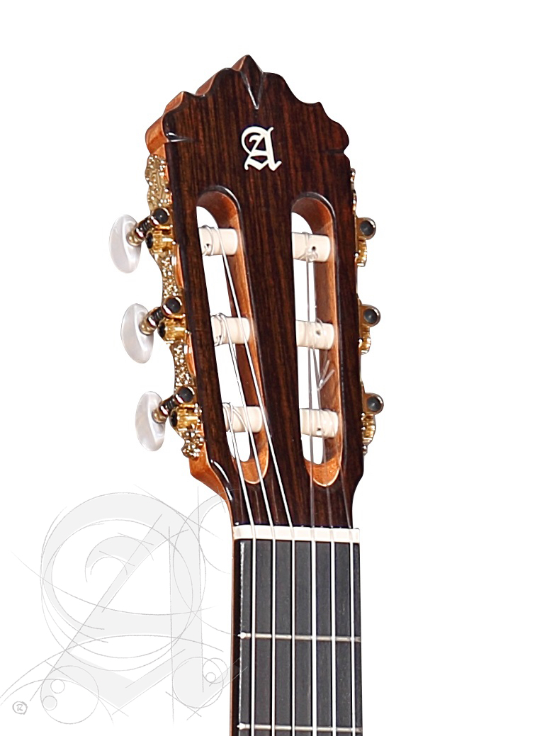 alhambra-5p-cw-e8-incl-gig-bag_67c87144c9441.jpg
