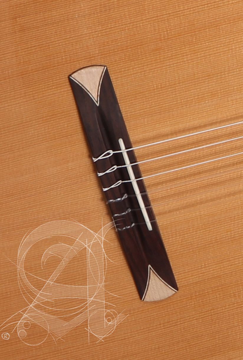 alhambra-cs-1-cw-e1-incl-gig-bag_67c86e3dcf1f4.jpeg