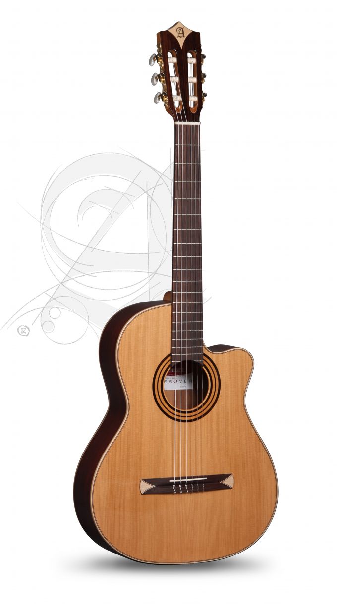 alhambra-cs-1-cw-e1-incl-gig-bag_67c86e3f7bb52.jpeg