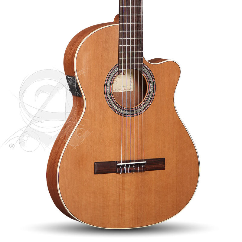 alhambra-z-nature-ct-ez-incl-gig-bag_67c83b77c0508.jpg