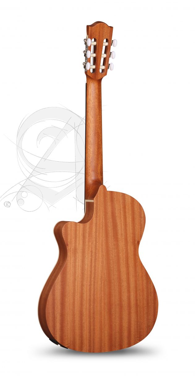 alhambra-z-nature-ct-ez-incl-gig-bag_67c83b799190d.jpg
