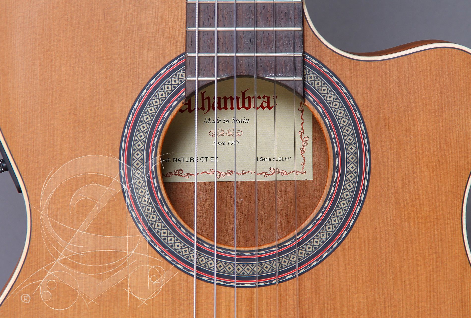 alhambra-z-nature-ct-ez-incl-gig-bag_67c83b7b30940.jpeg