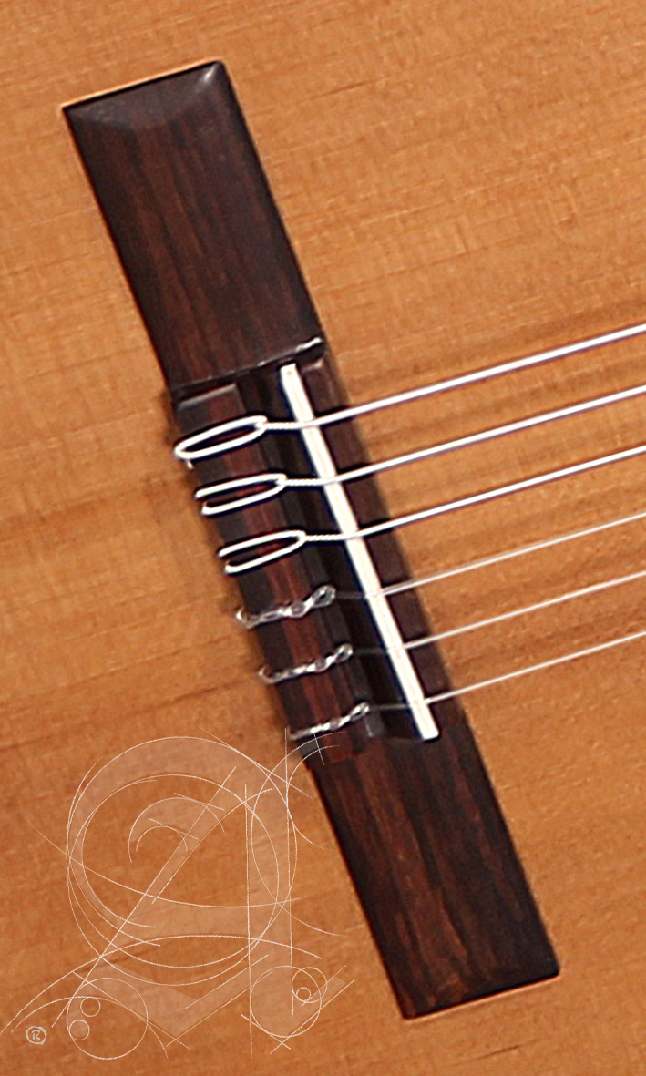 alhambra-z-nature-ct-ez-incl-gig-bag_67c83b7f0fc5b.jpg