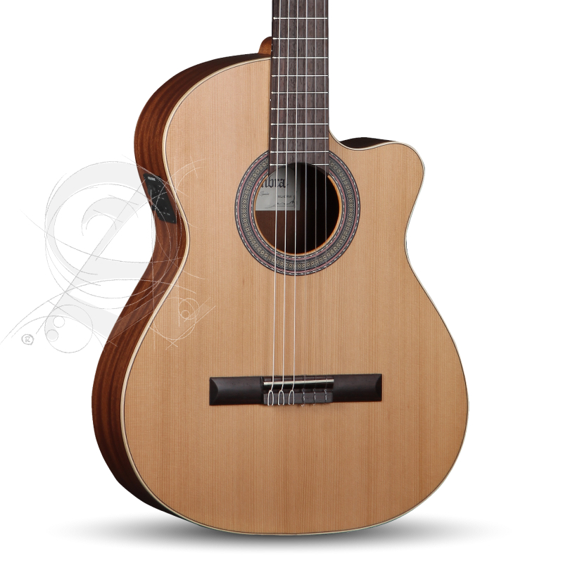 alhambra-z-nature-cw-ez-incl-gig-bag_67c86b9d5cabe.jpg