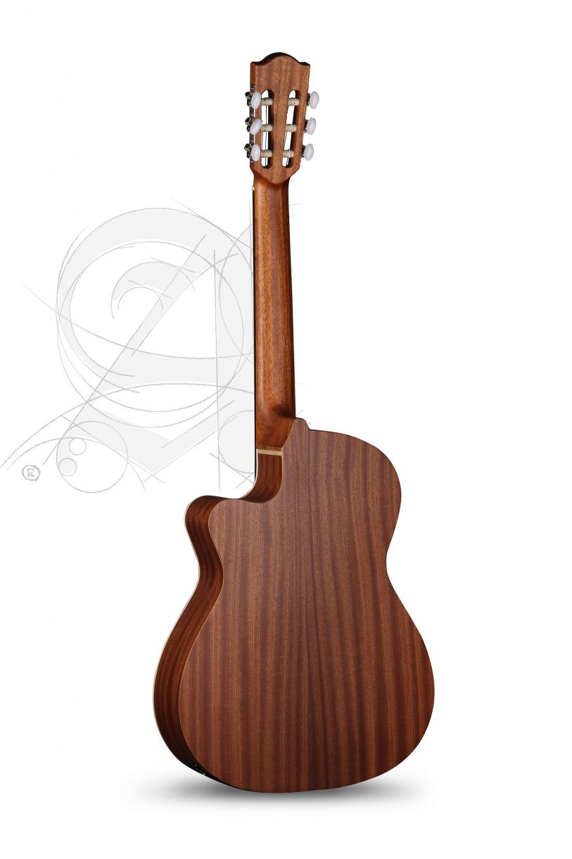 alhambra-z-nature-cw-ez-incl-gig-bag_67c86b9f3085d.jpg