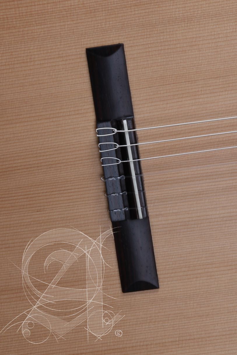 alhambra-z-nature-cw-ez-incl-gig-bag_67c86ba5475dd.jpg