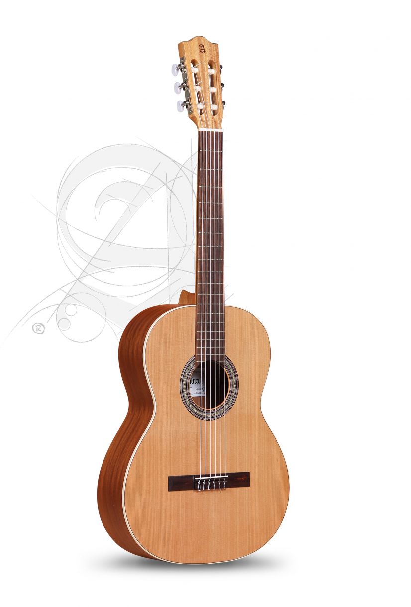 alhambra-z-nature-incl-gig-bag_67c86a44d8999.jpg