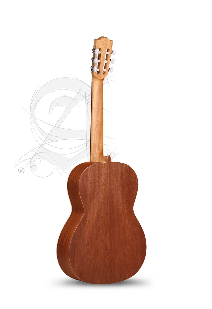 alhambra-z-nature-incl-gig-bag_67c86a46923c5.jpg