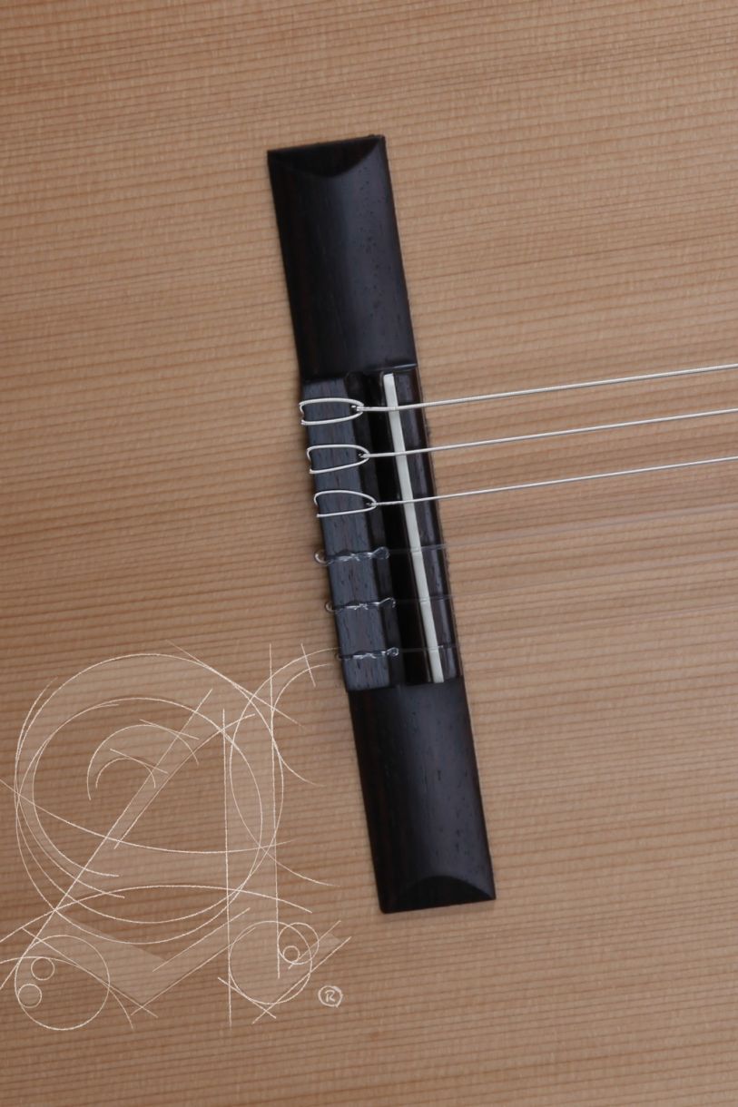 alhambra-z-nature-incl-gig-bag_67c86a4db9481.jpg