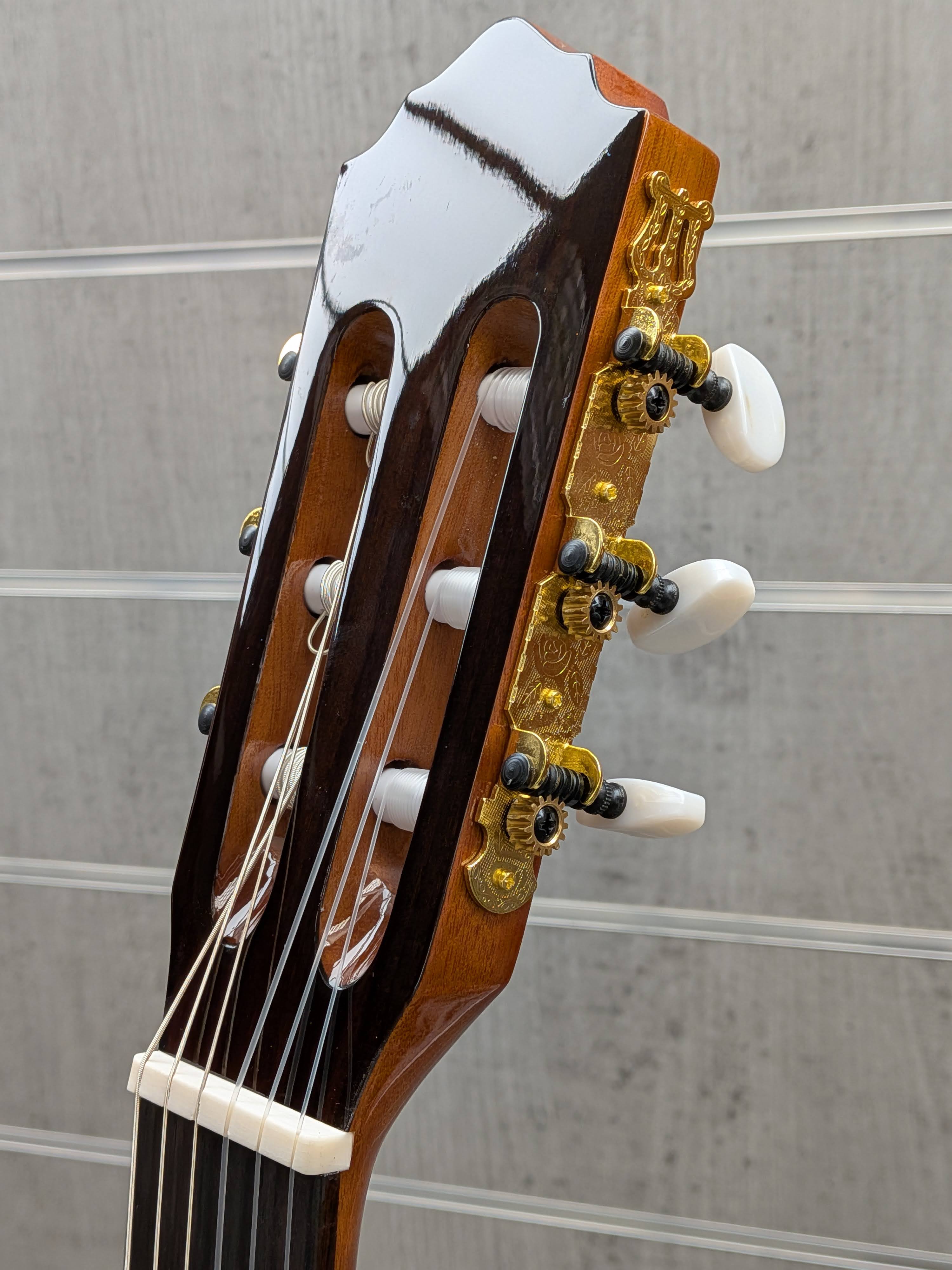 alysee-cl200ceg-guitarra-classica-cutaway-4-4-acabamento-brilhante_6a2c1d9523531.jpg