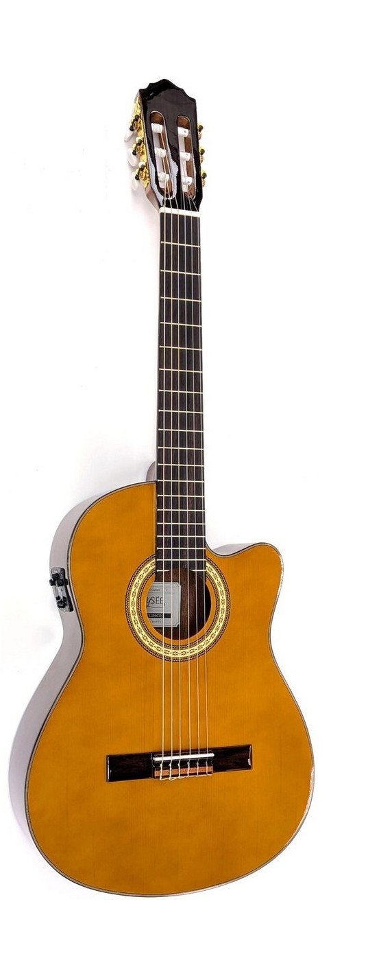 alysee-cl200ceg-guitarra-classica-cutaway-4-4-acabamento-brilhante_6a2c1e1b46c8b.jpg