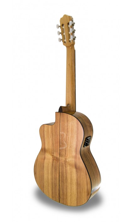 apc-1-koa-s-cw_560bbba63ac7b.jpg