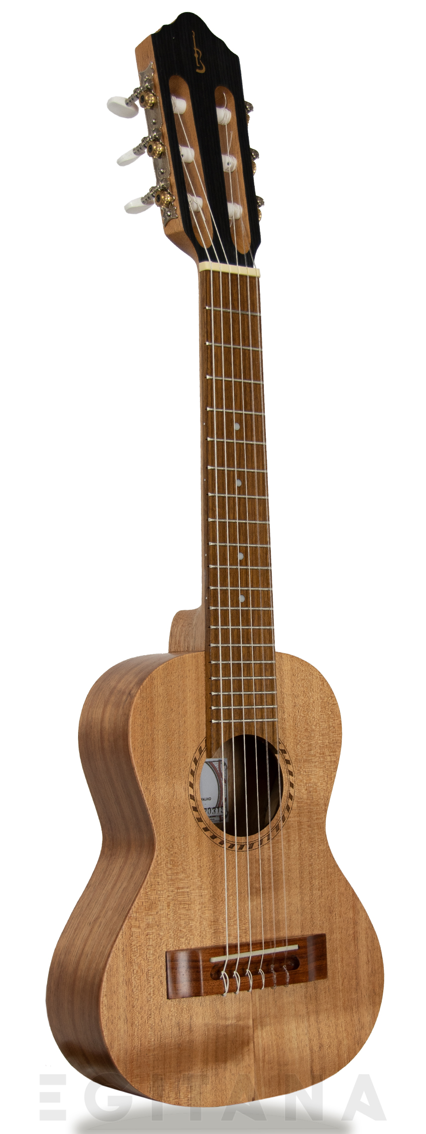 apc-guitalele-gs-simples_603781f0f1ad3.jpg