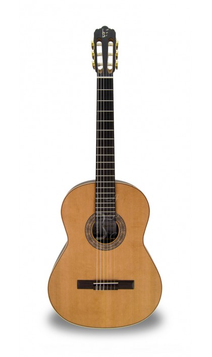 apc-luthier-gold_560c11d14ca6c.jpg