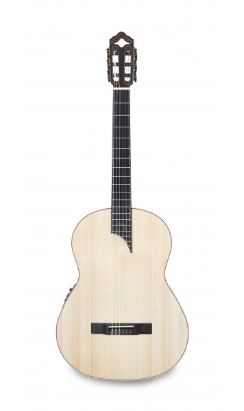 apc-luthier-mx_60366ad76de29.jpg
