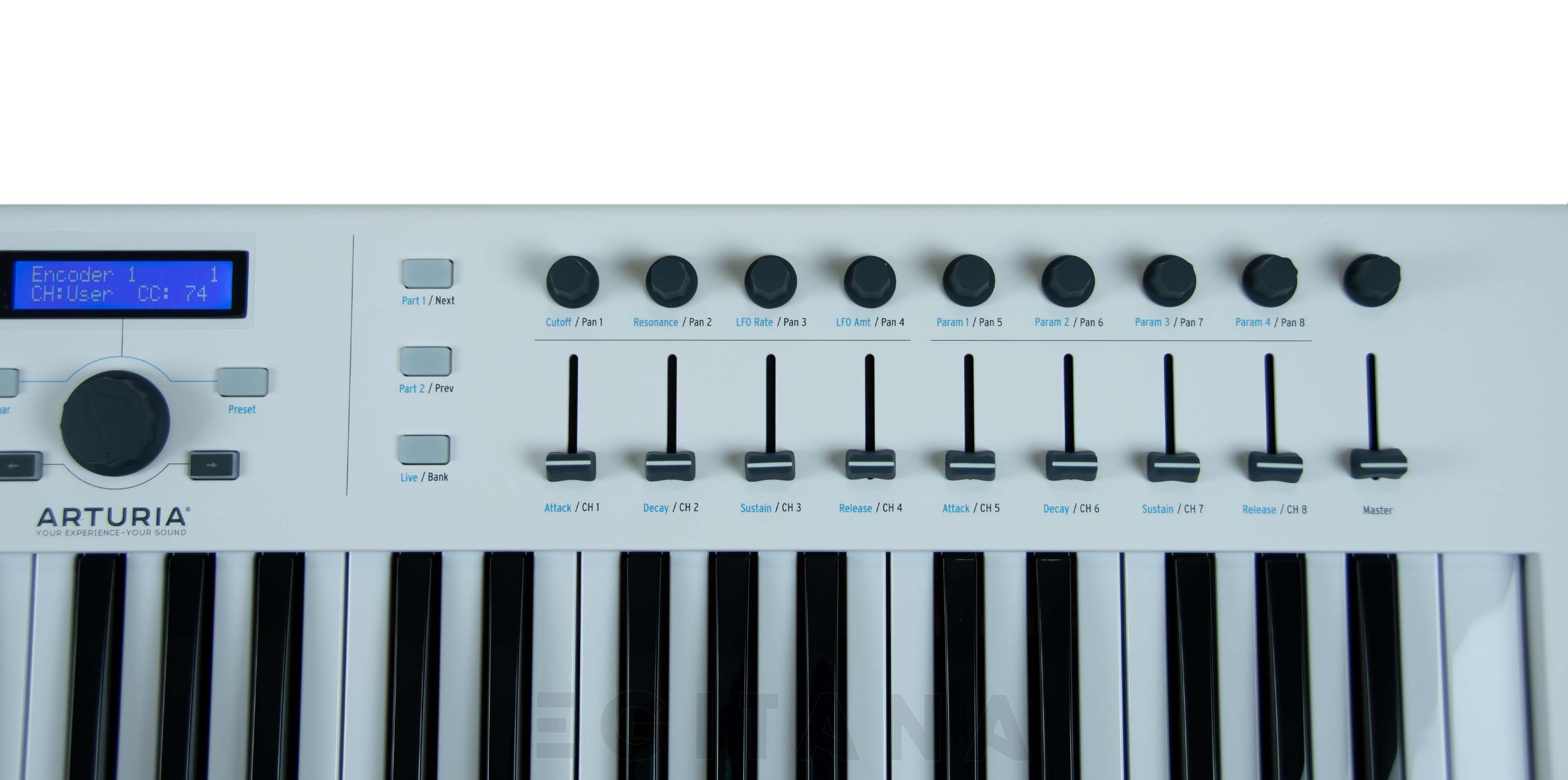 arturia-keylab-essential-61_62557040ccb3d.jpg