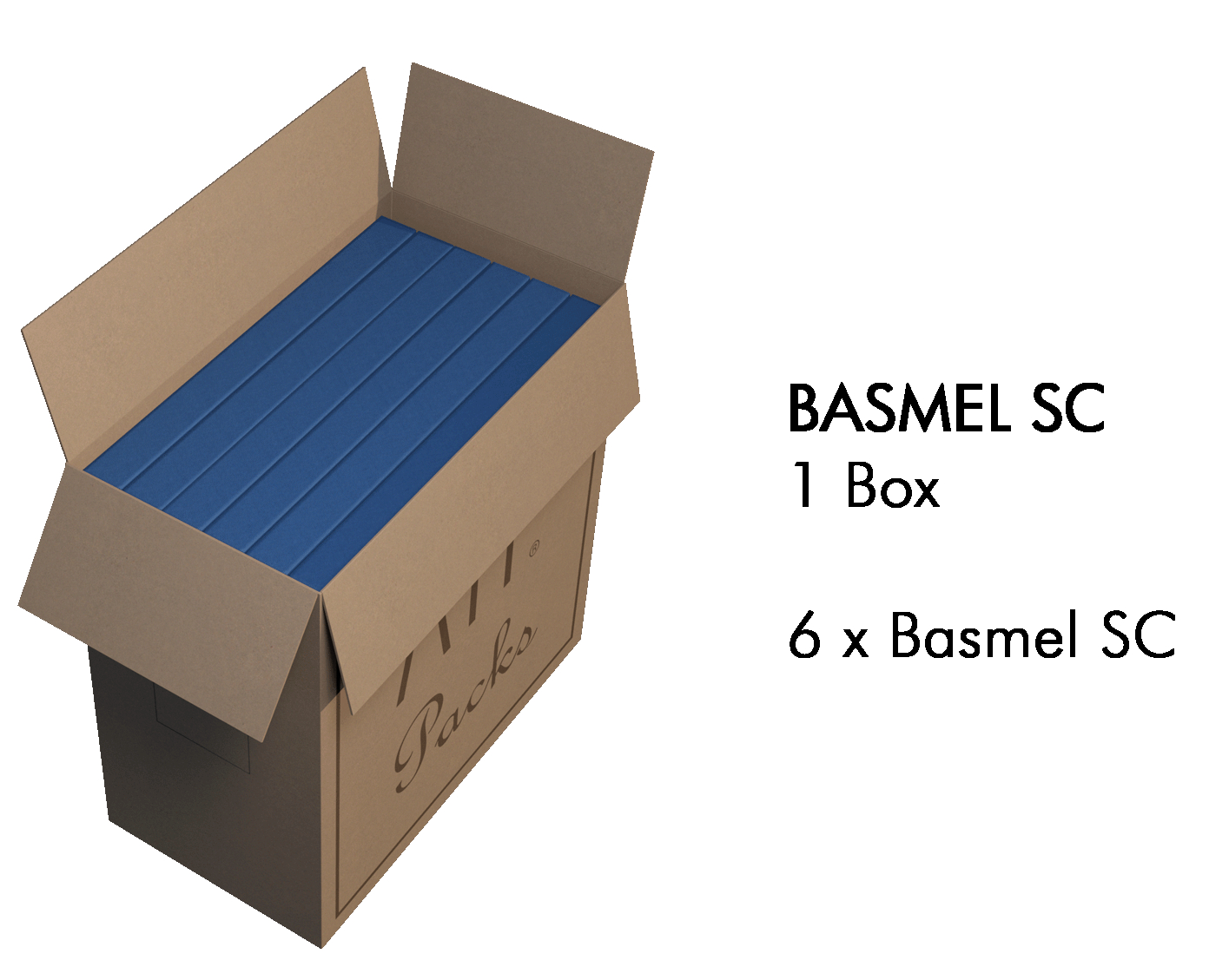 atp-basmel-sc-cinza-6-unidades_68f61cbc1bd7f.jpg
