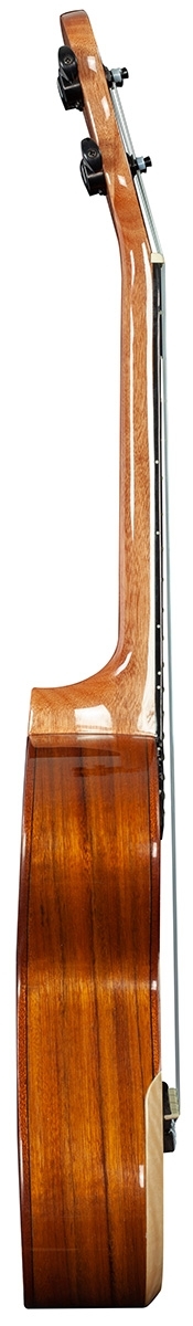 barnes-mullins-tenor-ukulele-walnut_6915ae3c1e10d.jpg