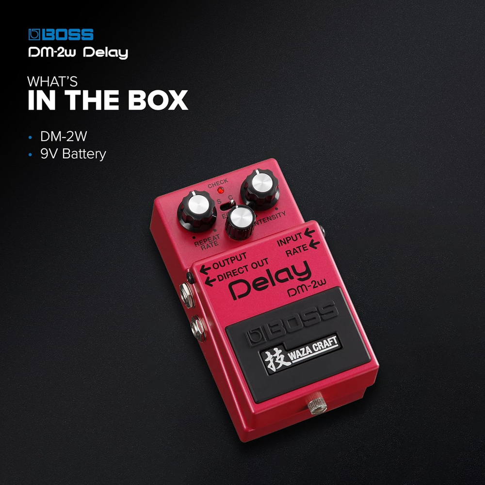 bboss-dm-2w-pedal-delay-edicao-especial-waza-craft-b_682dfdc21b1aa.jpg