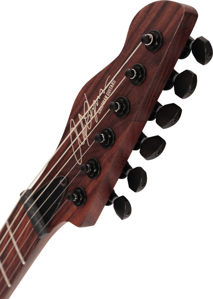 chapman-guitars-law-maker-legacy-forest-moss-green_6915d7c5d6899.jpg