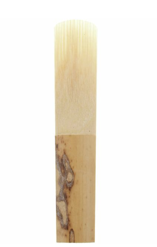 daddario-woodwinds-rico-bb-clar-20_681e056bed6dd.jpg