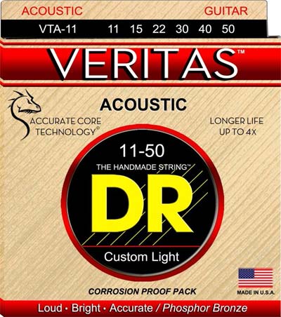 dr-strings-veritas-acoustic-vta-11_679a4a6c9ca9e.jpg