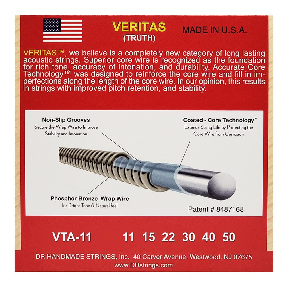 dr-strings-veritas-acoustic-vta-11_679a4a6fb80fb.jpg