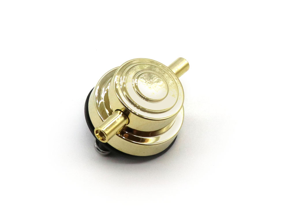dw-lug-drsp10140ddgd-dourado_69244f6d802b6.jpg