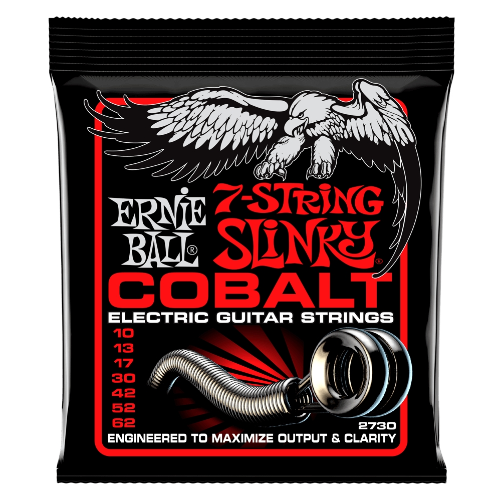 ernie-ball-2730_5e837bbf6efe7.jpg