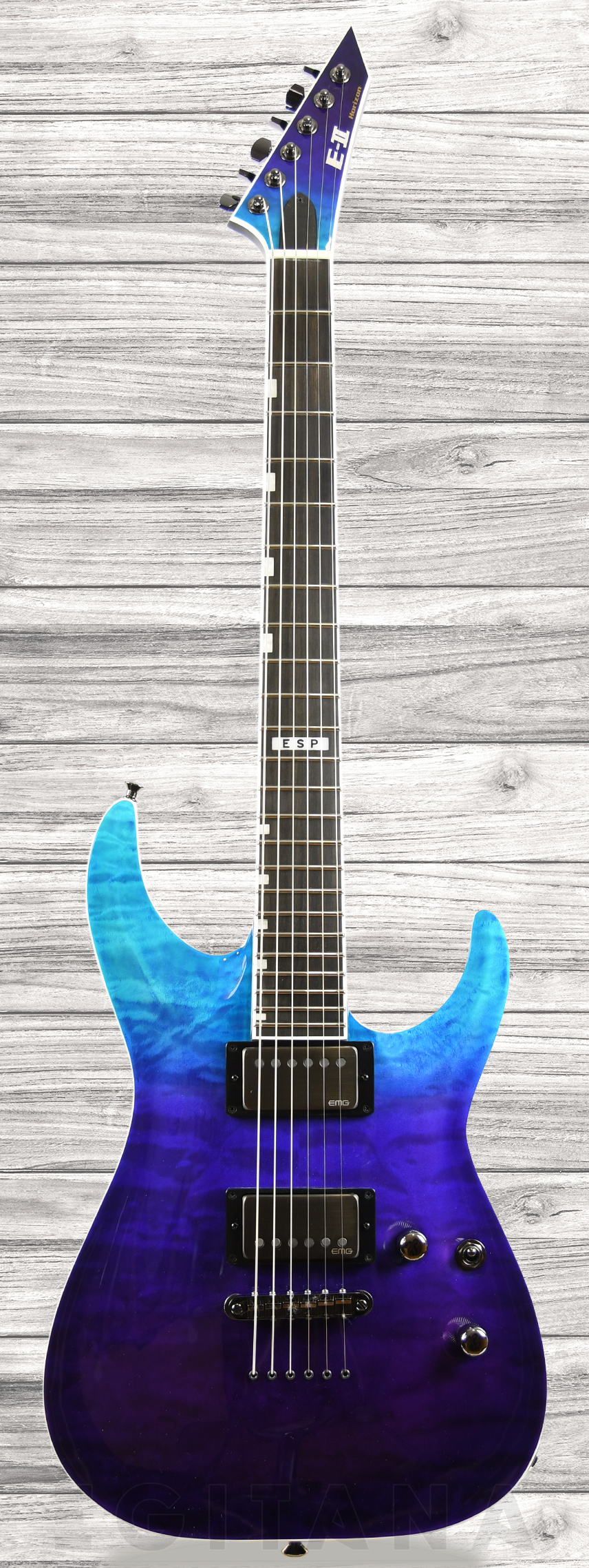 esp-e-ii-horizon-nt-ii-bpg_60e42775f19ab.jpg
