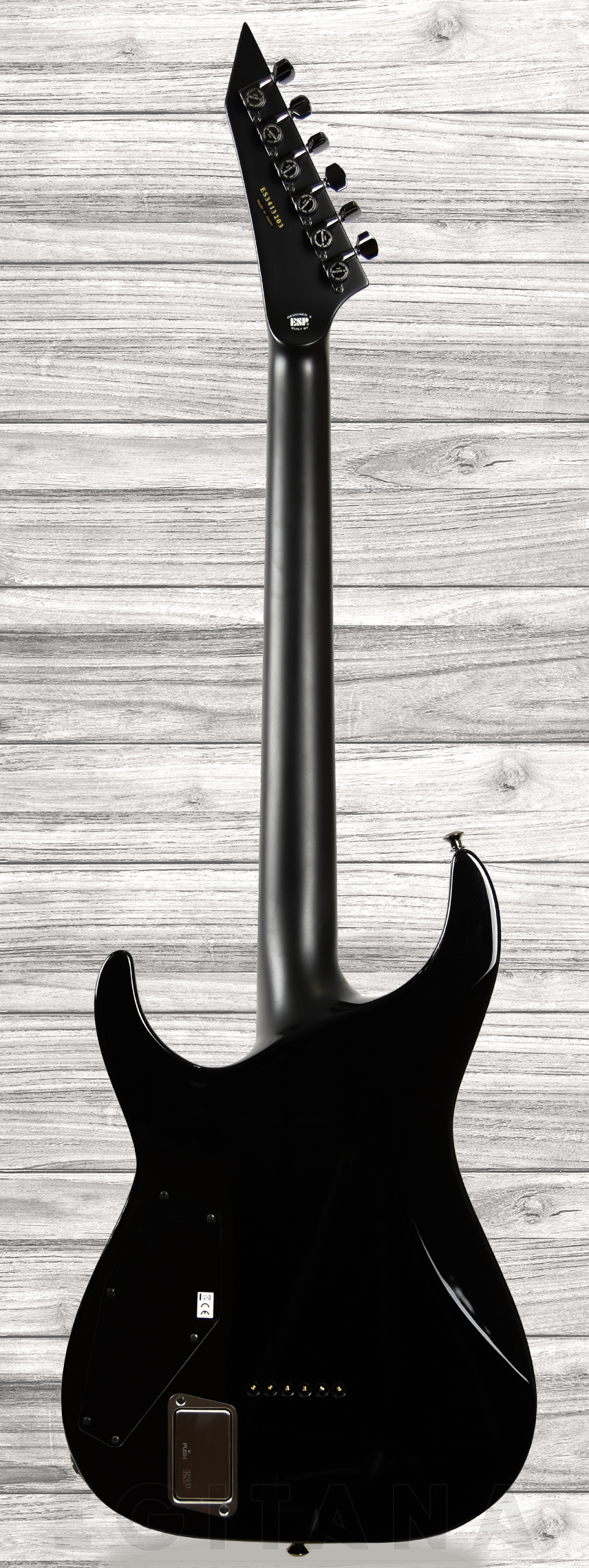 esp-e-ii-horizon-nt-ii-bpg_60e4277a70773.jpg