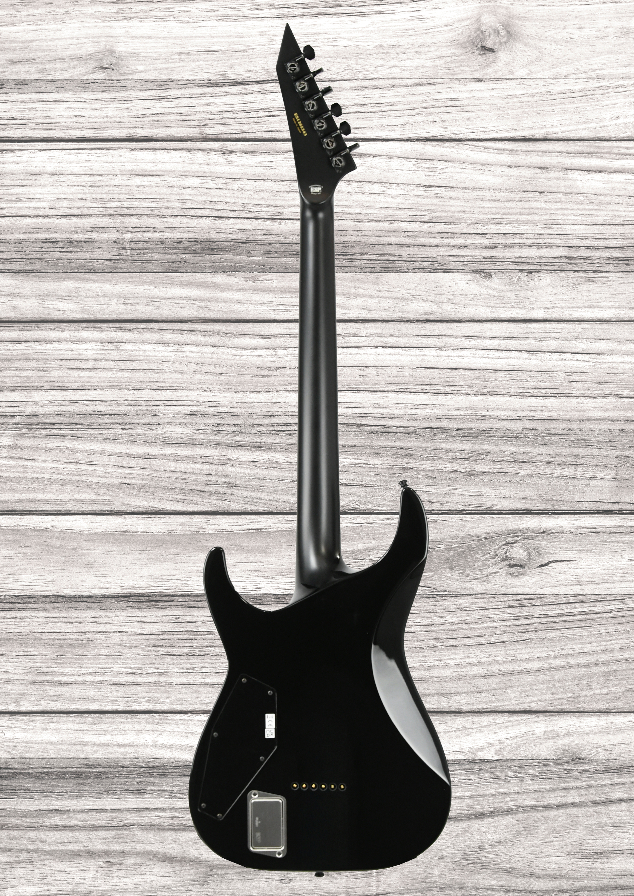 esp-e-ii-horizon-nt-ii-emg-stbcsb_69299c53c88e2.jpg