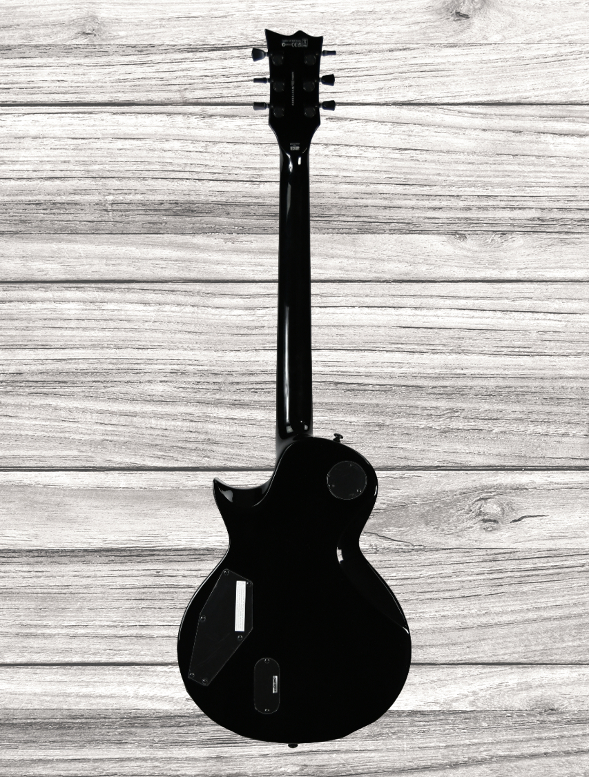 esp-ltd-ec-1000s-fluence-blk_6421a1cc9a74a.jpg