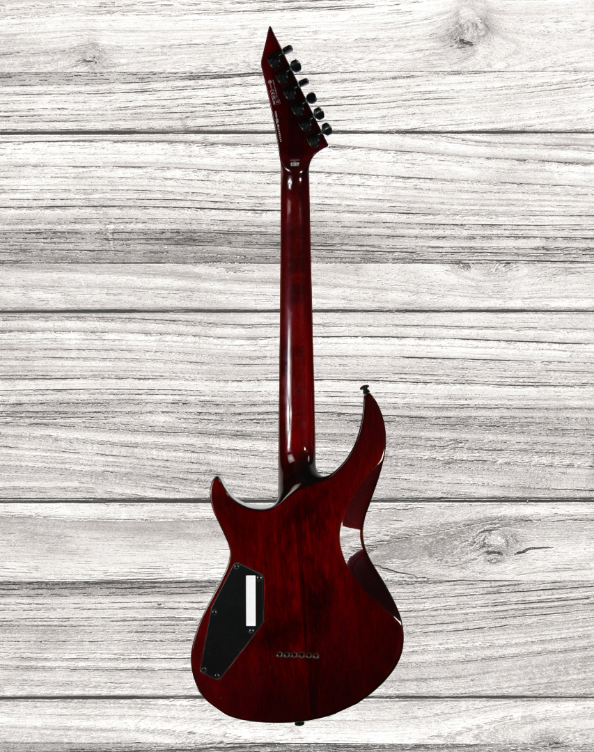 esp-ltd-h3-1000-qm-stbc_6422b0ef826d7.jpg