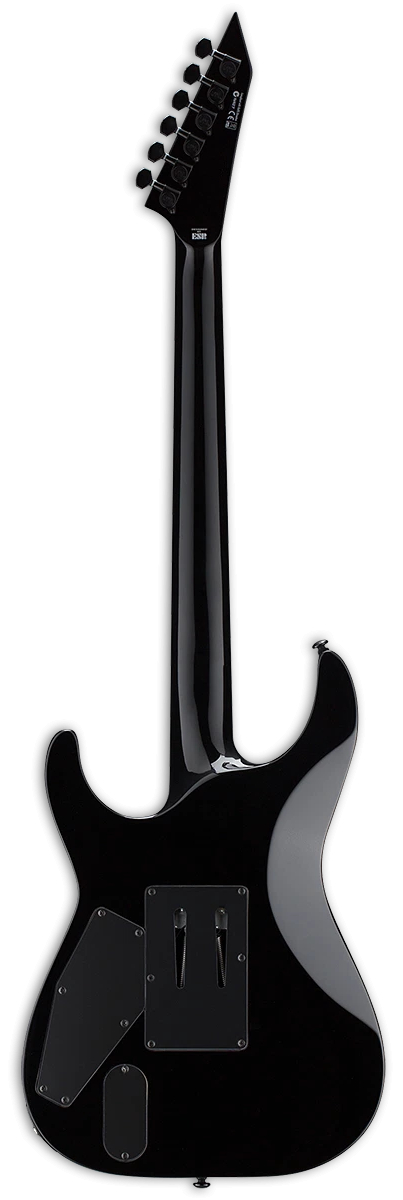 esp-ltd-kh-demonology-kirk-hammett-signature_67eaca380ebdc.jpg