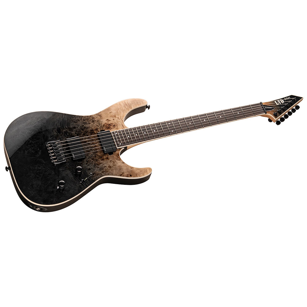 esp-ltd-m-1000ht-bp-black-fade_660a92d312935.jpg