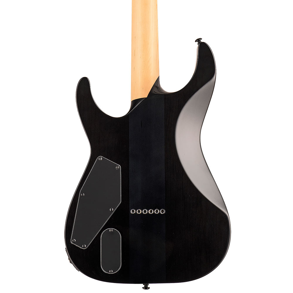 esp-ltd-m-1000ht-bp-black-fade_660a92d88b9eb.jpg