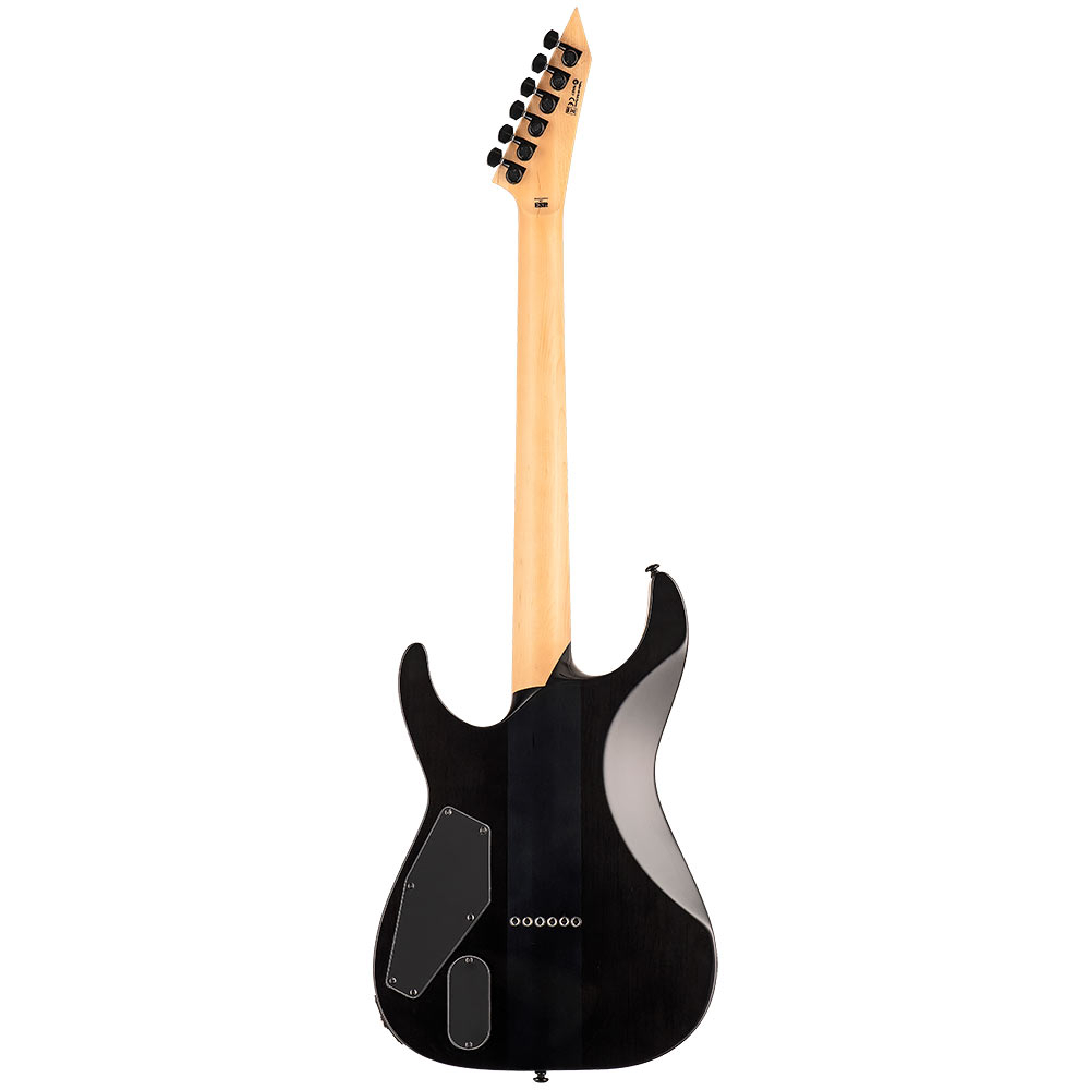 esp-ltd-m-1000ht-bp-black-fade_660a92ddecbdf.jpg