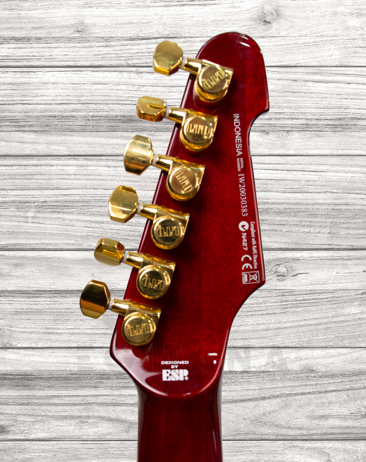 esp-ltd-phoenix-1000-in-see-thru-black-cherry_5f2c1db4ca974.jpg