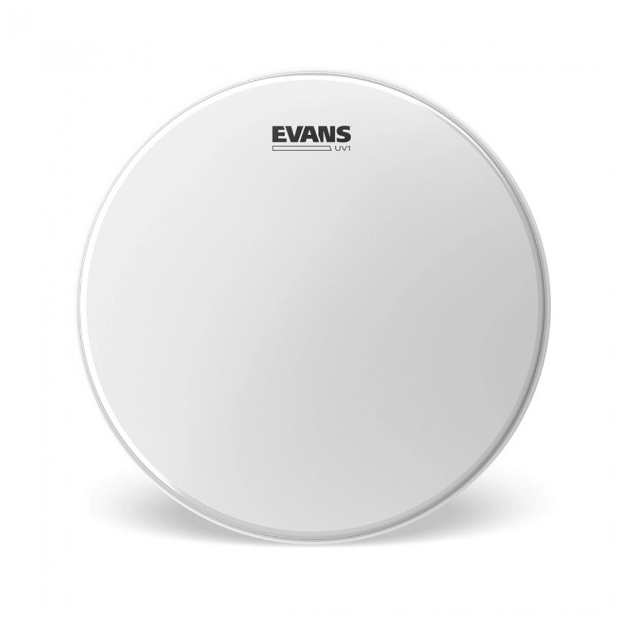 evans-10_69160e88e16e5.png
