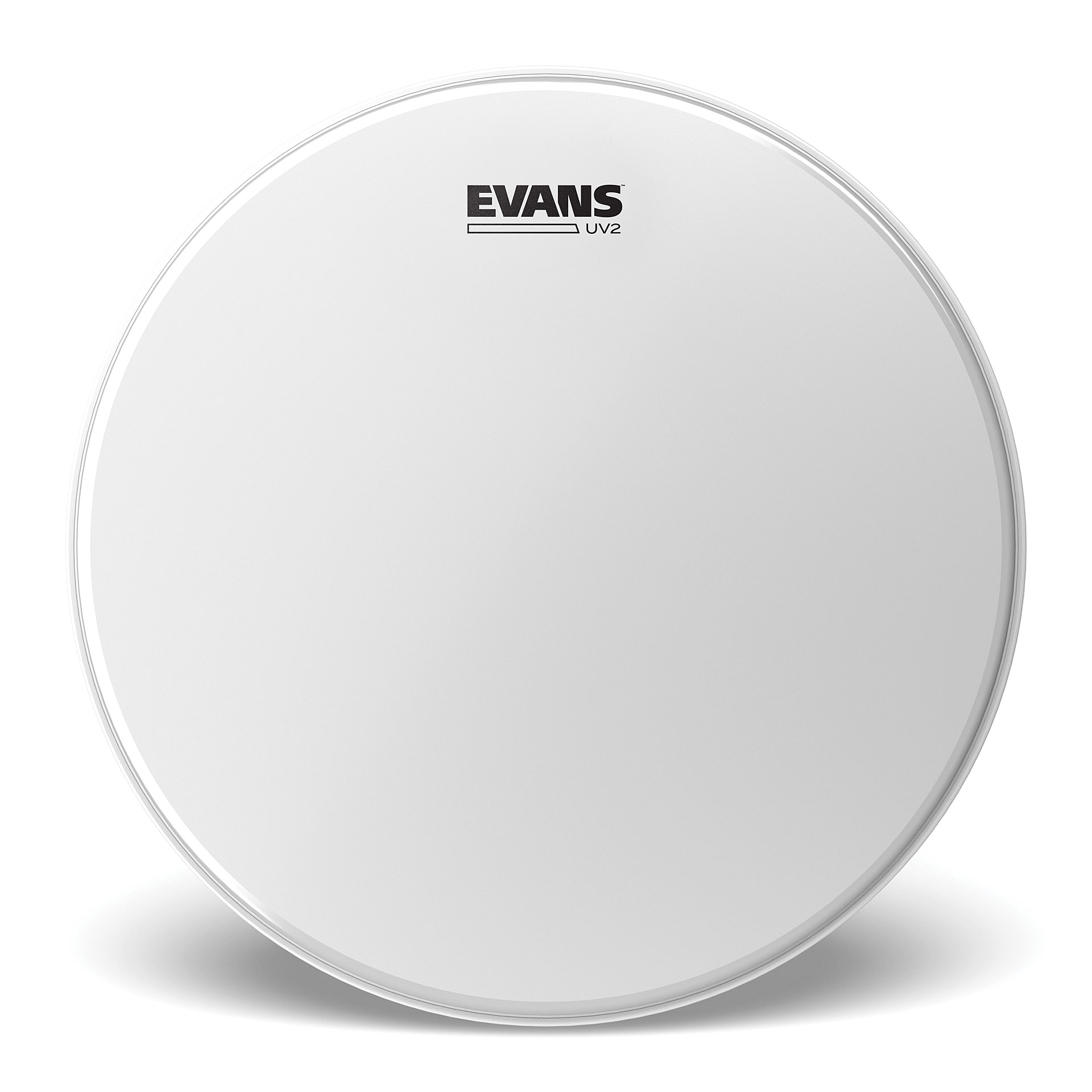 evans-12_6916135ddc239.png