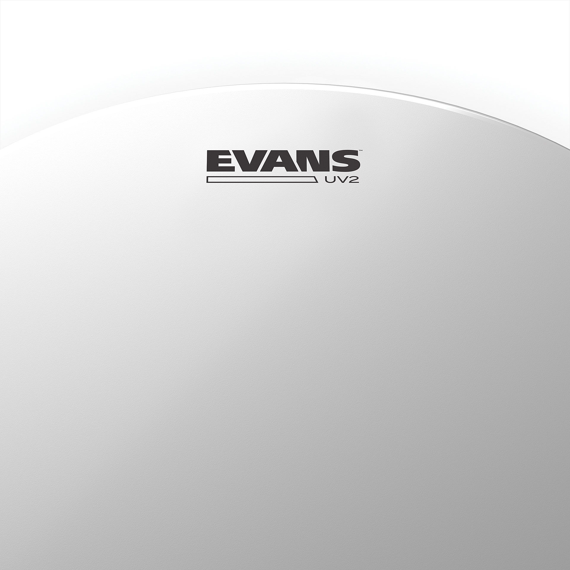 evans-12_6916135fb2826.png