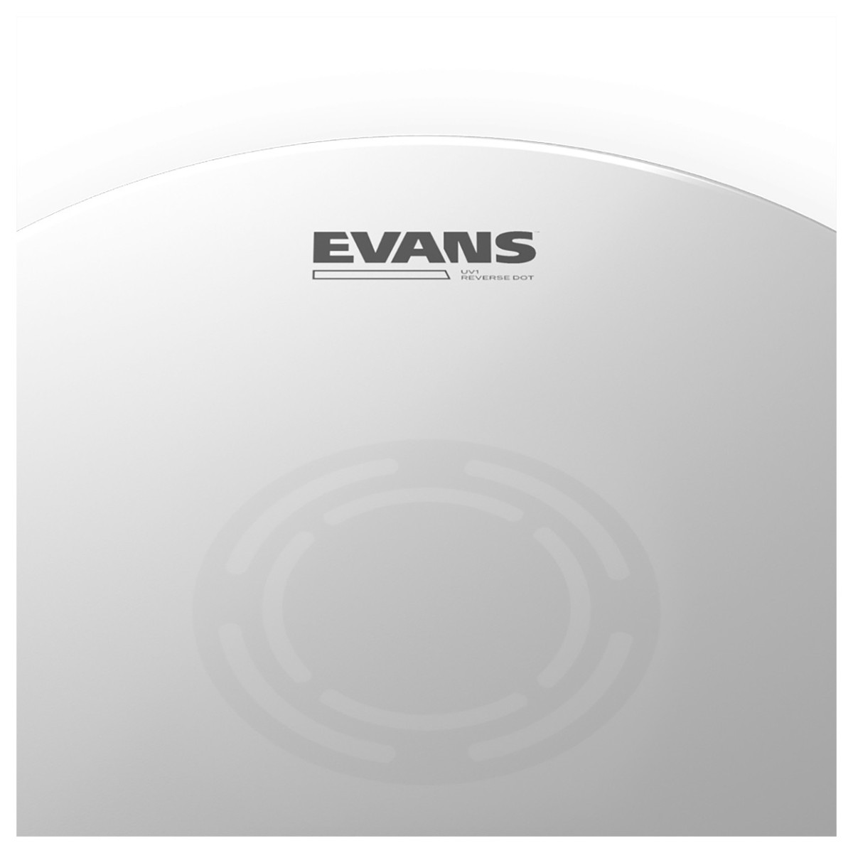 evans-14_6916f79e5375c.jpg
