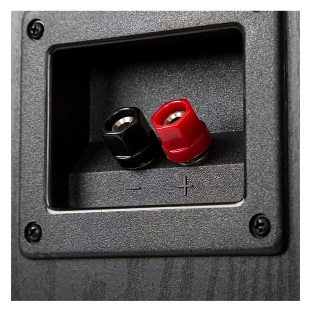 evidence-acoustics-sistema-home-cinema_6723904458977.jpg