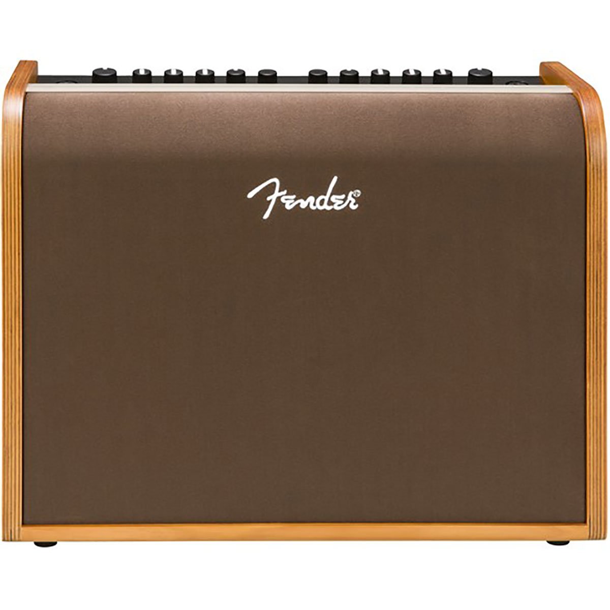 fender-acoustic-100_591d8b599de01.jpg