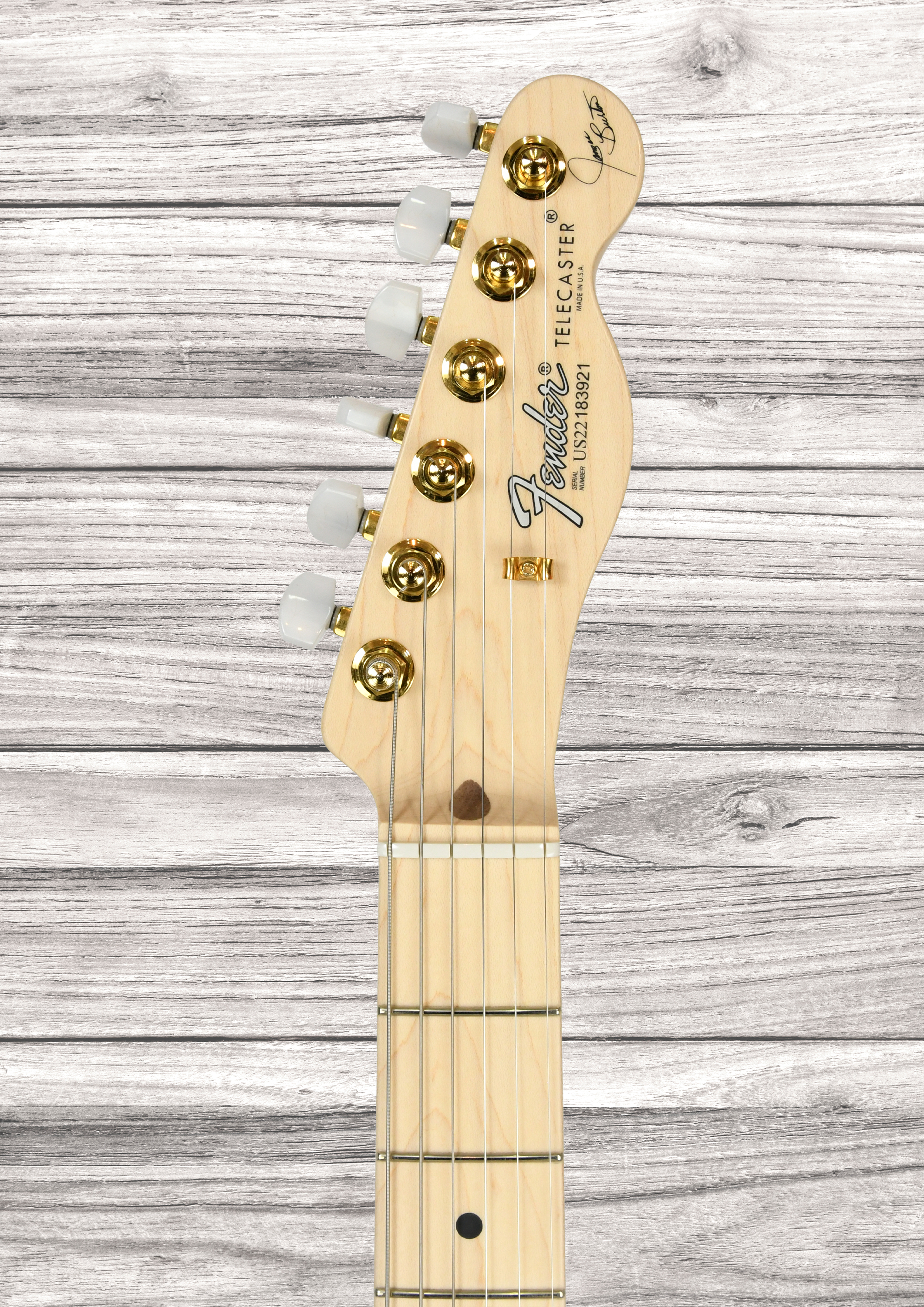 fender-american-james-burton-limited-edition-maple-fingerboard-red-paisley-flames_6908d0ceb1824.jpg